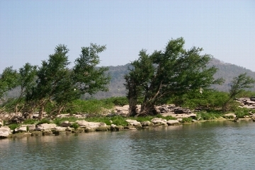 メコン河